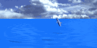 dolphin2_jmp_sky[1].gif (47094 bytes)