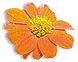 flor-a.jpg (6335 bytes)
