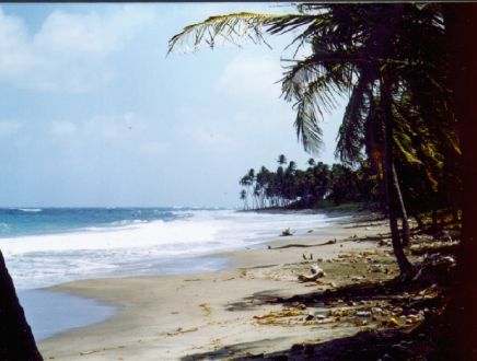 g-Levera-beach.jpg (25832 bytes)